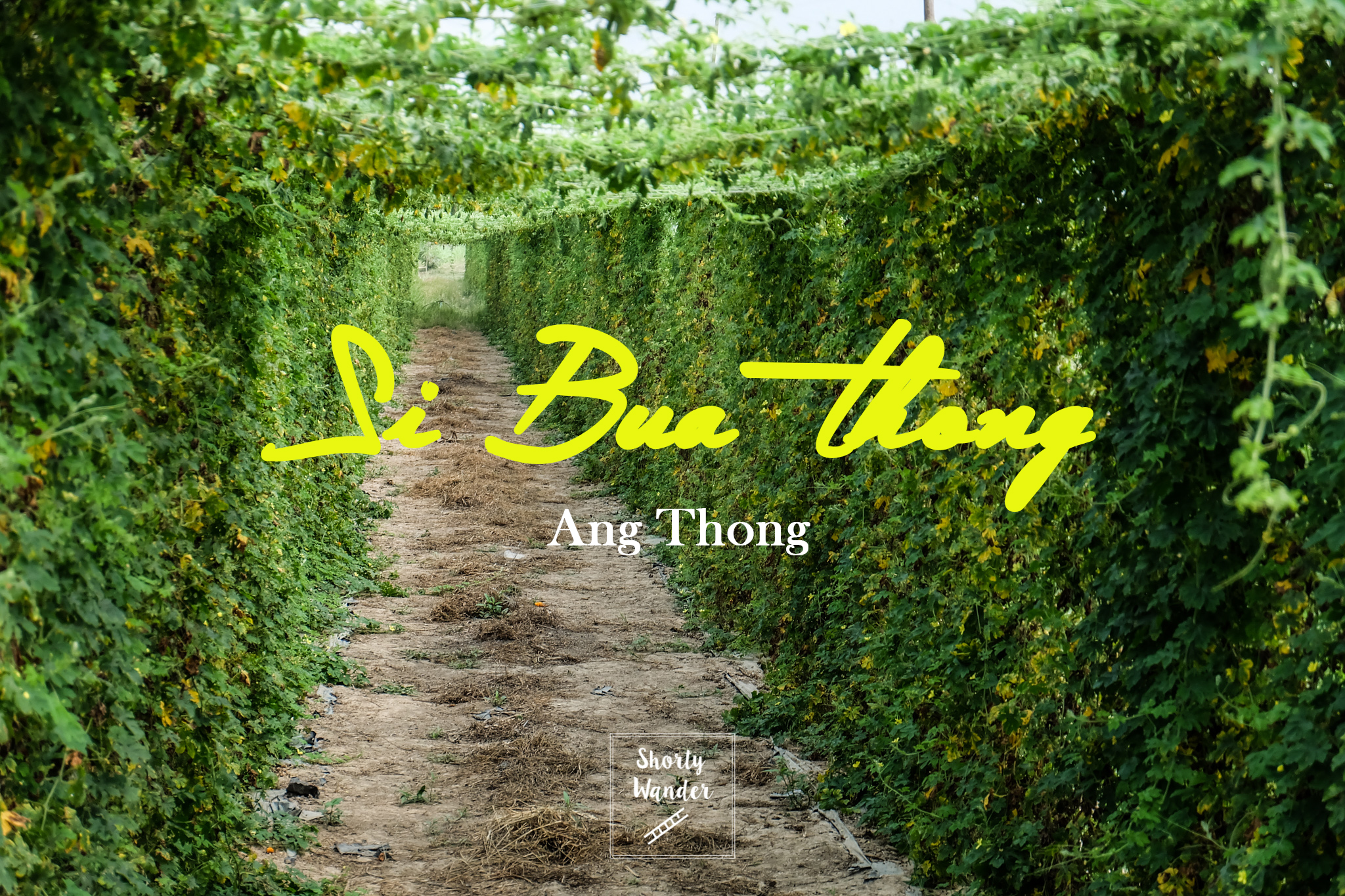 Sri Bua Thong Cover